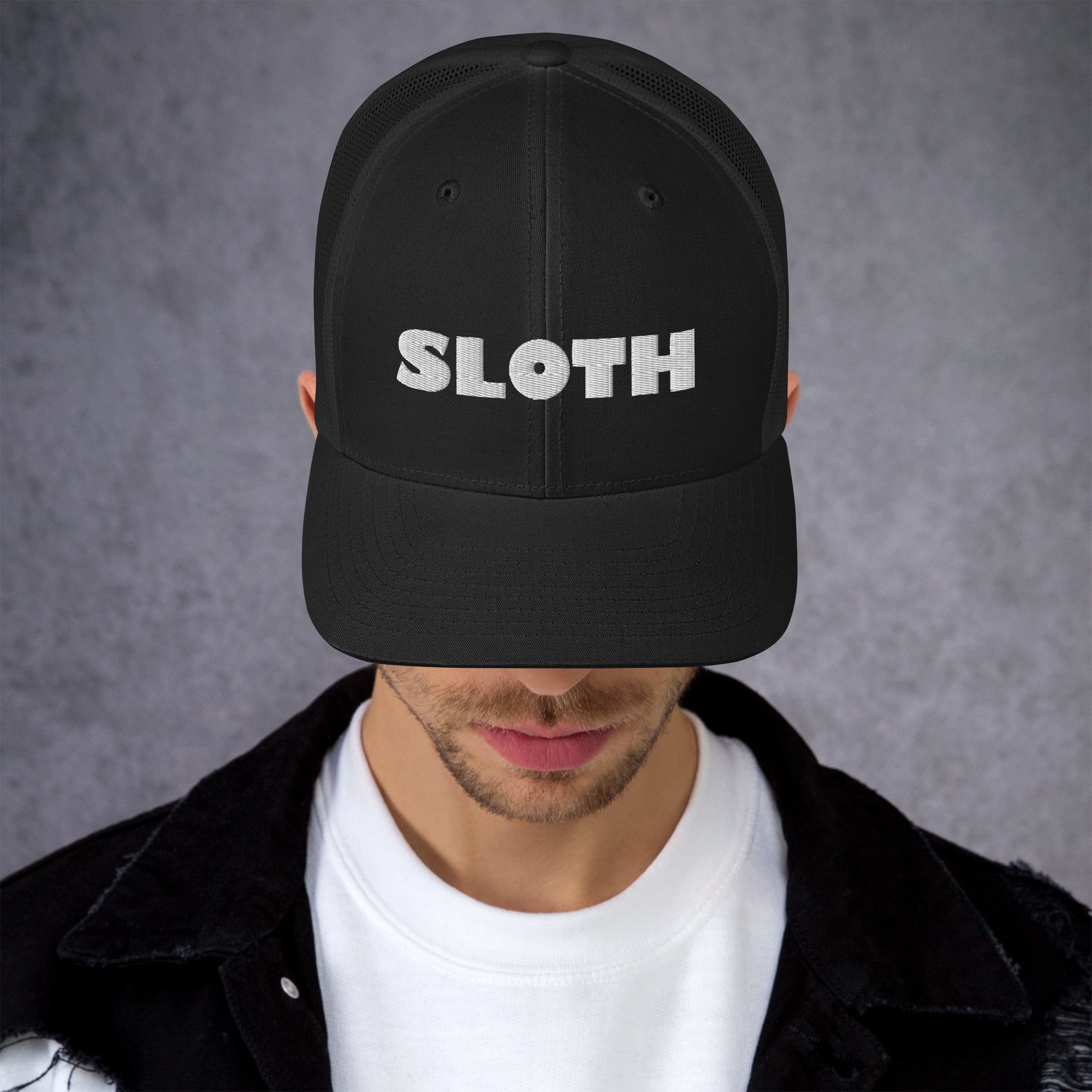 Sloth Trucker