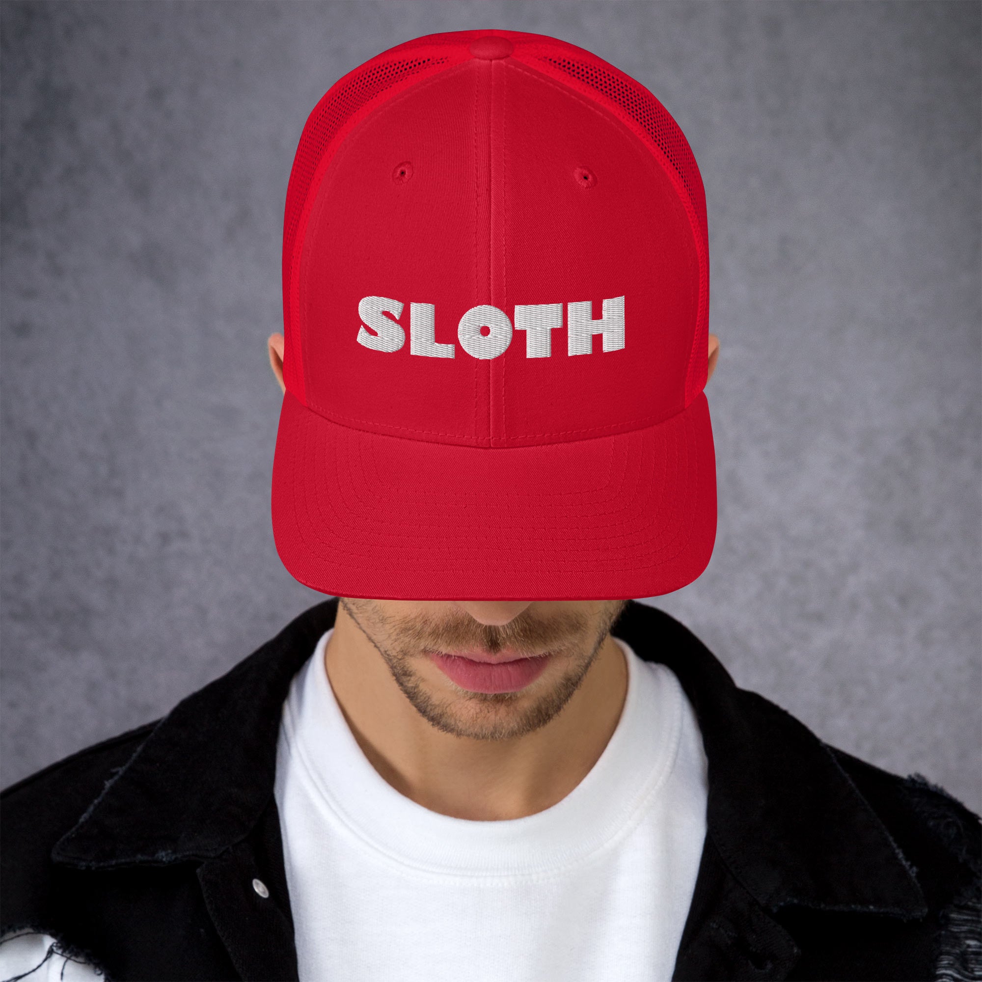 Sloth Trucker