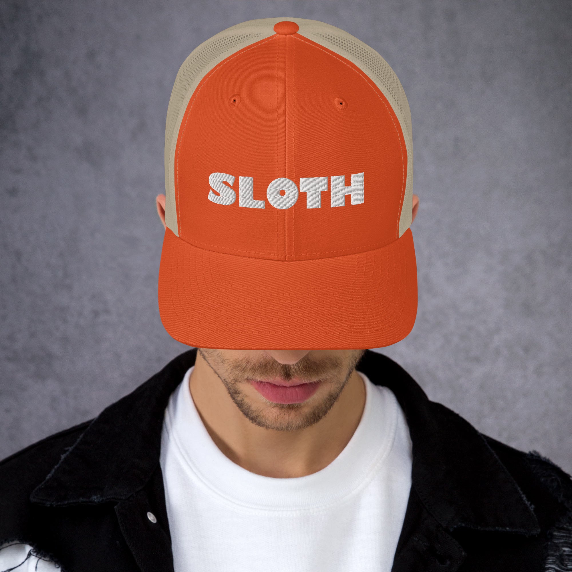 Sloth Trucker